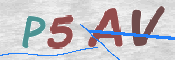 この文字を入力してください