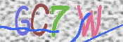 この文字を入力してください