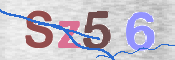 この文字を入力してください