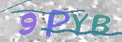 この文字を入力してください