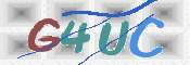 この文字を入力してください