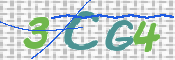 この文字を入力してください