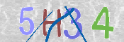 この文字を入力してください