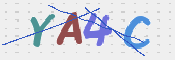 この文字を入力してください