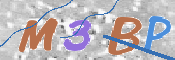この文字を入力してください