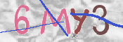 この文字を入力してください