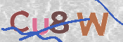 この文字を入力してください