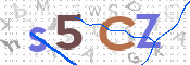 この文字を入力してください