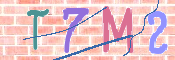 この文字を入力してください