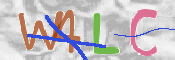 この文字を入力してください