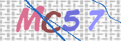 この文字を入力してください