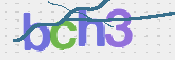 この文字を入力してください