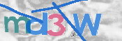 この文字を入力してください