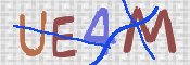 この文字を入力してください