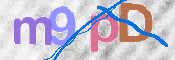 この文字を入力してください