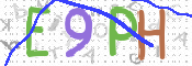 この文字を入力してください