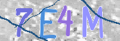 この文字を入力してください