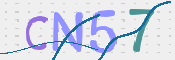 この文字を入力してください