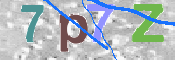 この文字を入力してください