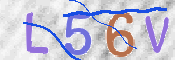 この文字を入力してください
