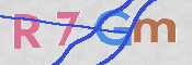 この文字を入力してください
