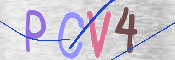 この文字を入力してください
