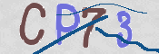 この文字を入力してください