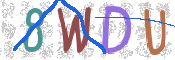 この文字を入力してください