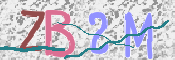 この文字を入力してください