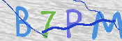 この文字を入力してください