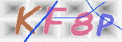 この文字を入力してください