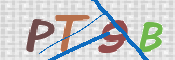 この文字を入力してください