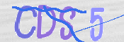 この文字を入力してください