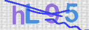 この文字を入力してください