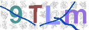 この文字を入力してください