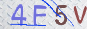 この文字を入力してください