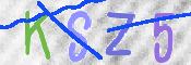 この文字を入力してください