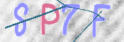 この文字を入力してください