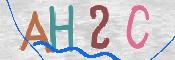 この文字を入力してください