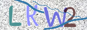 この文字を入力してください
