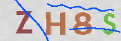この文字を入力してください
