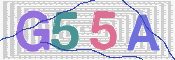 この文字を入力してください
