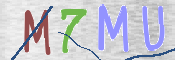 この文字を入力してください