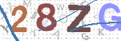 この文字を入力してください