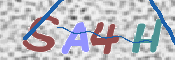 この文字を入力してください
