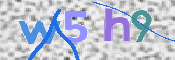 この文字を入力してください