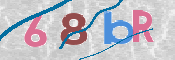 この文字を入力してください