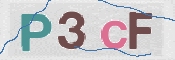 この文字を入力してください