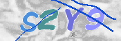 この文字を入力してください