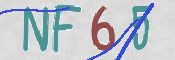 この文字を入力してください